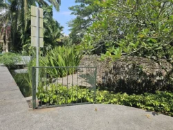 Singapore Botanic Gardens 67837984