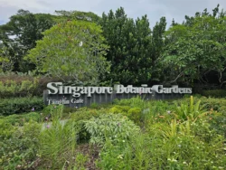Singapore Botanic Gardens 2123638336