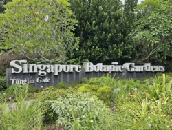 Singapore Botanic Gardens 3607958957