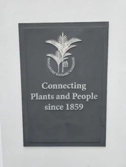 Singapore Botanic Gardens 542589670