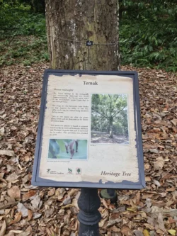 Singapore Botanic Gardens 2423647644