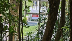 Rifle Range Nature Park 4091377503
