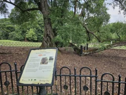Singapore Botanic Gardens 2829084406