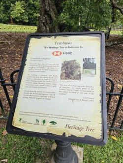 Singapore Botanic Gardens 3142662419