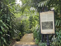 Singapore Botanic Gardens 2056796312