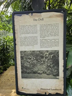 Singapore Botanic Gardens 2971902938