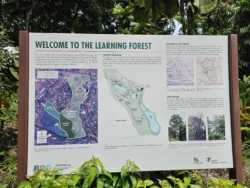 Singapore Botanic Gardens 2170912919