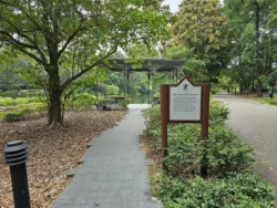 Singapore Botanic Gardens 1959332014