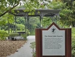 Singapore Botanic Gardens 767138651
