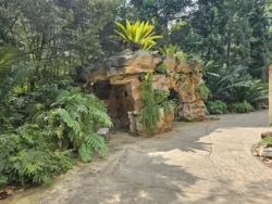 Singapore Botanic Gardens 968872380