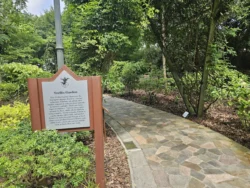 Singapore Botanic Gardens 1196772746
