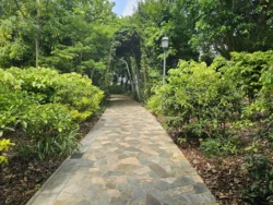 Singapore Botanic Gardens 1788751591