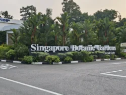 Singapore Botanic Gardens 846549068