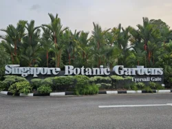 Singapore Botanic Gardens 2436583863