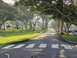 Upper Seletar Reservoir 1663169985