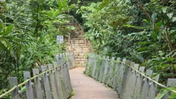 Rifle Range Nature Park 2230133539