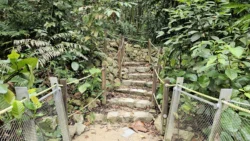 Rifle Range Nature Park 4137111262
