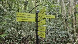 Rifle Range Nature Park 319448982