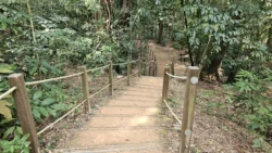 Rifle Range Nature Park 3040954092