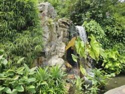 Singapore Botanic Gardens 3984568384
