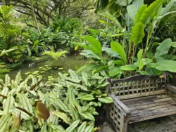 Singapore Botanic Gardens 2486221678