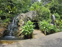 Singapore Botanic Gardens 2918829197