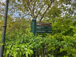Singapore Botanic Gardens 865277999
