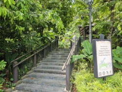 Singapore Botanic Gardens 173699020