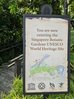 Singapore Botanic Gardens 356270836