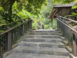 Singapore Botanic Gardens 754267415
