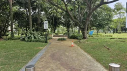 West Coast Park 2170050189