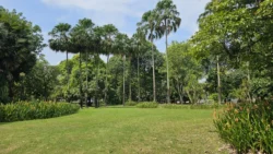 West Coast Park 141233663