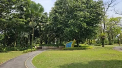 West Coast Park 4252679848