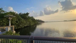 Woodlands Waterfront Park 2462368728