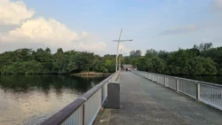 Woodlands Waterfront Park 3762825