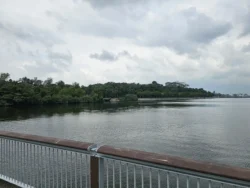 Woodlands Waterfront Park 2626691260