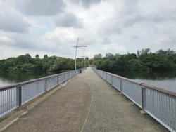 Woodlands Waterfront Park 3725459341