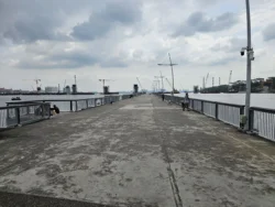 Woodlands Waterfront Park 1048954230