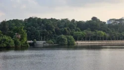 Woodlands Waterfront Park 4213840372