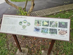 Woodlands Waterfront Park 1339000968