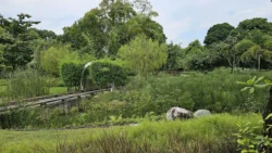 Yunnan Garden (NTU) 1387478691