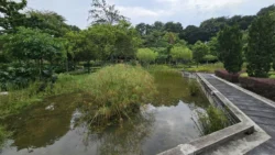 Yunnan Garden (NTU) 3300718867