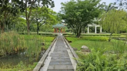 Yunnan Garden (NTU) 2089104166