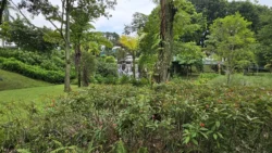 Yunnan Garden (NTU) 1875029219