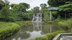 Yunnan Garden (NTU) 1228951337