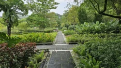 Yunnan Garden (NTU) 264902048
