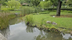 Yunnan Garden (NTU) 1506932764