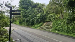 bukit timah railway station 14