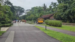 bukit timah railway station 17