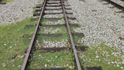 bukit timah railway station 21